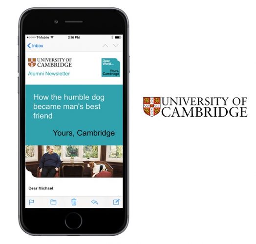 University Cambridge - UX/UI, HTML Email, WordPress, Creative